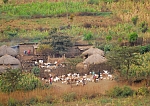 Tingatinga Village